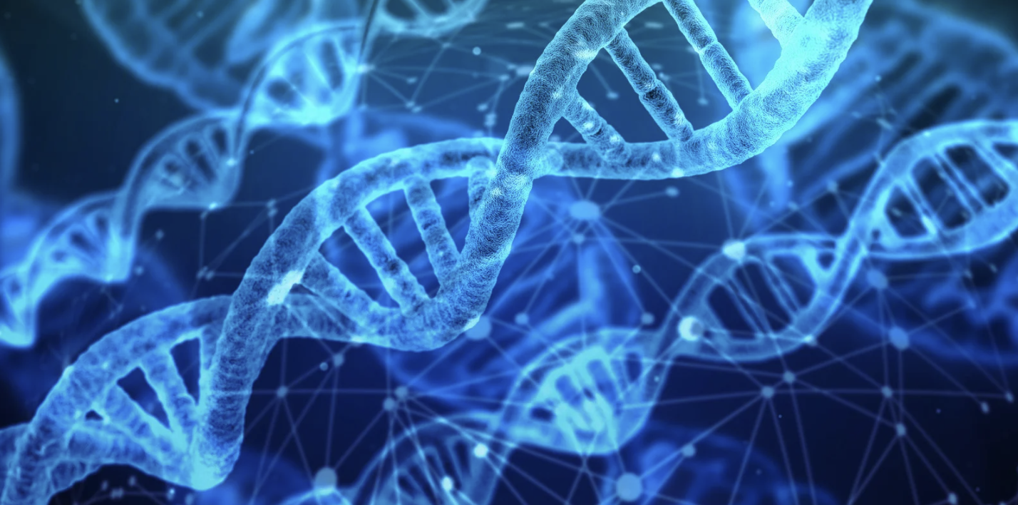 investigación