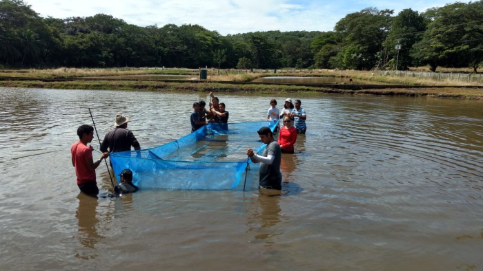 acuicultura