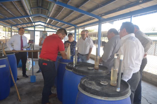 cambio climatico Atenas