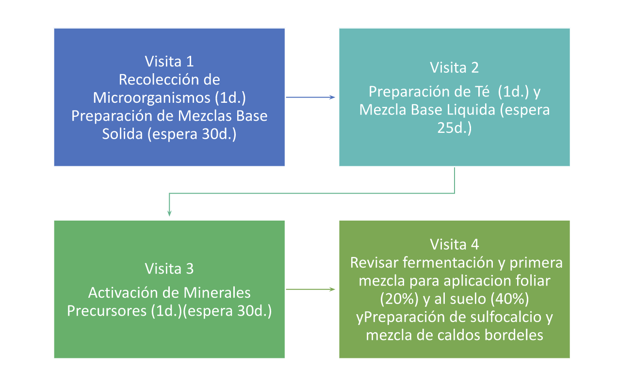 metodología