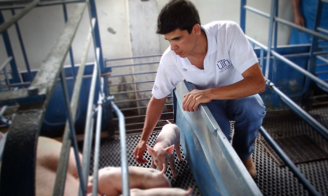 INGENIERÍA EN SISTEMA DE PRODUCCIÓN ANIMAL - SISTEMAS DE PRODUCCIÓN ANIMAL- PRODUCCIÓN  ANIMAL | Universidad Técnica Nacional | Costa Rica