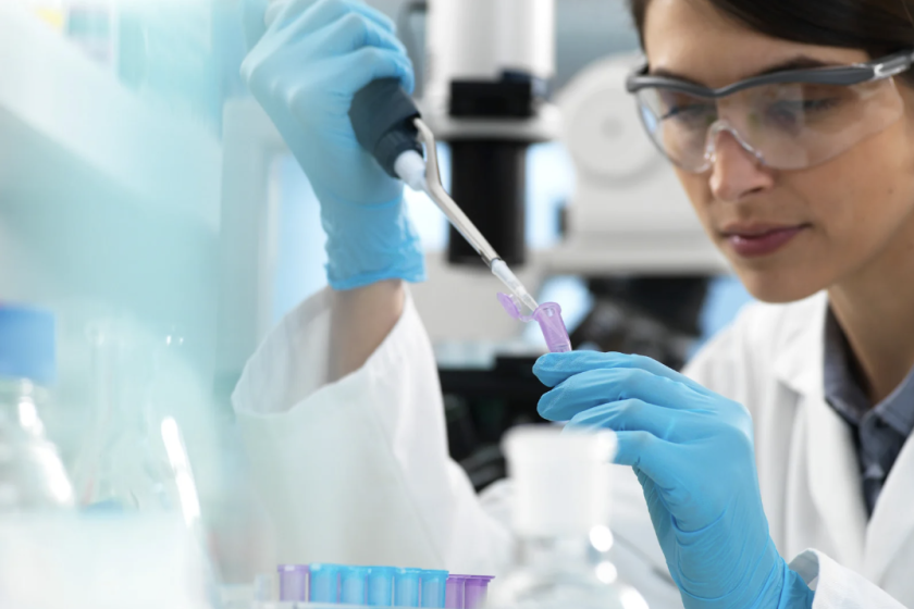 investigación