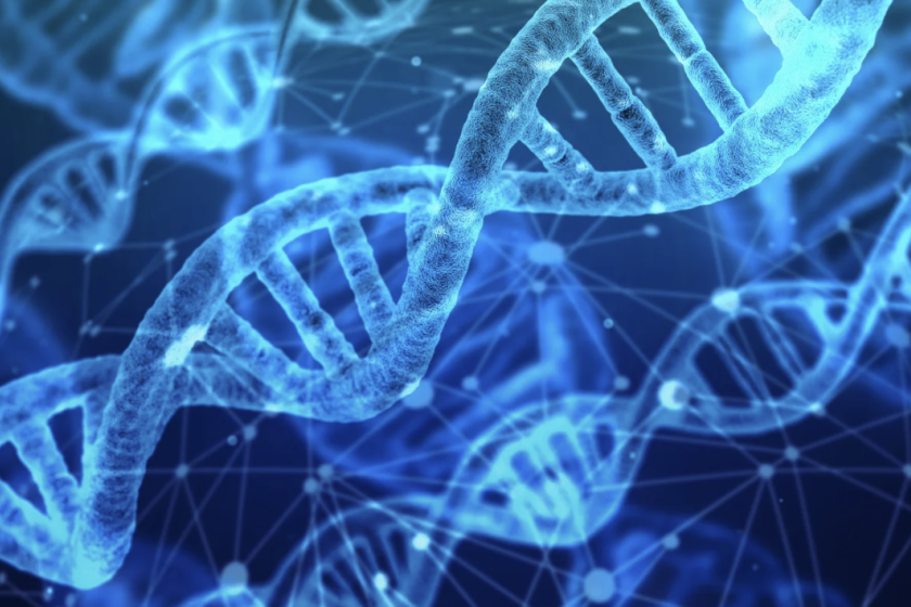 investigación